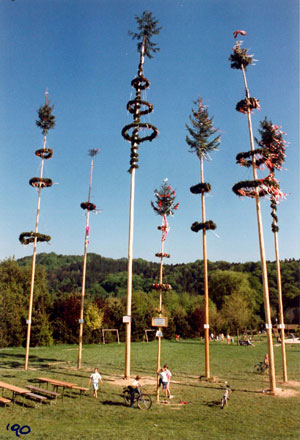 Maibaumwald 1990 in Puchenau